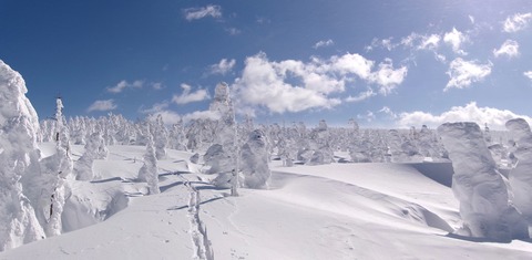 100_0770 パノラマ写真