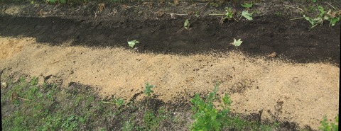 2022_09220003 パノラマ写真