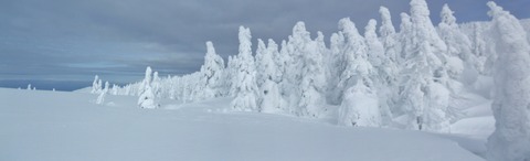 2022_12210033 パノラマ写真