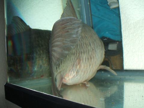 2020_05070008