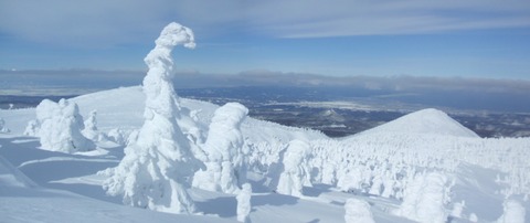 2024_02060019 パノラマ写真