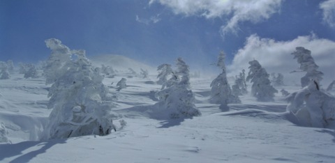 2020_03250068 パノラマ写真