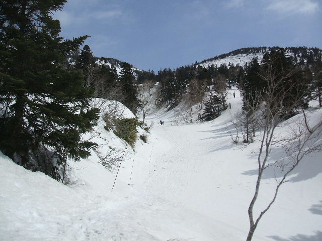 イメージ 6