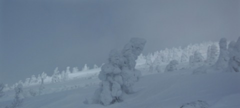 2020_01270018 パノラマ写真