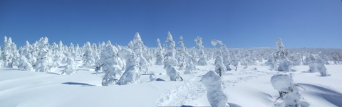 2022_03100009 パノラマ写真