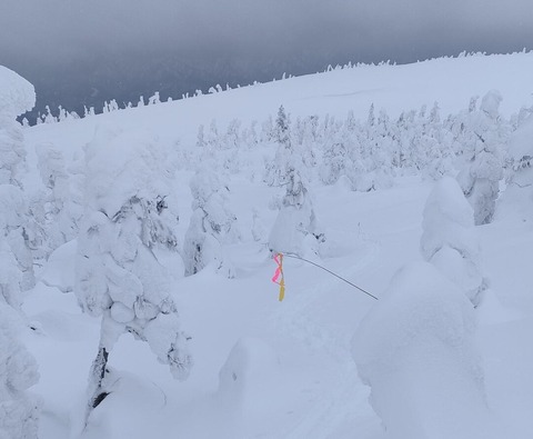 082789e8-e8cc-4e7d-beb5-234ff0b5f067