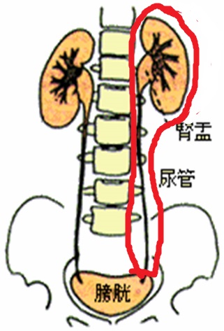 61c5f851