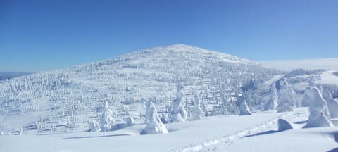 2024_01110008 パノラマ写真