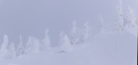 2024_12210011 パノラマ写真