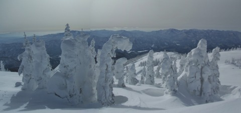 2021_01150009 パノラマ写真