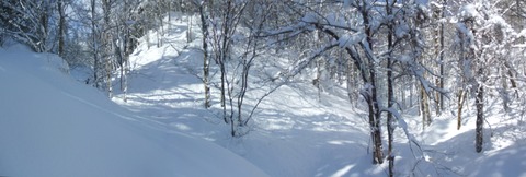 2022_03010005 パノラマ写真