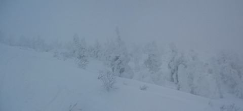 2020_01270014 パノラマ写真