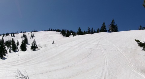 2024_04060024 パノラマ写真