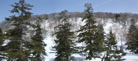 2023_03110036 パノラマ写真