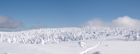 100_0735 パノラマ写真