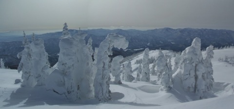 139464263_2901041280178829_6399816030797130638_n