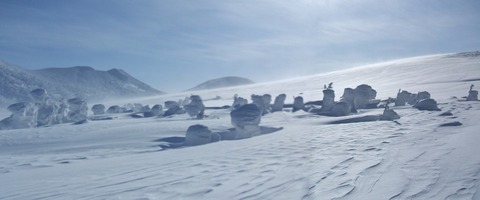 2021_02010006 パノラマ写真