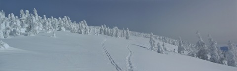 2021_01150006 パノラマ写真