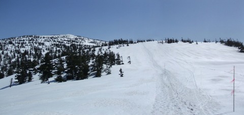 2023_03220004 パノラマ写真