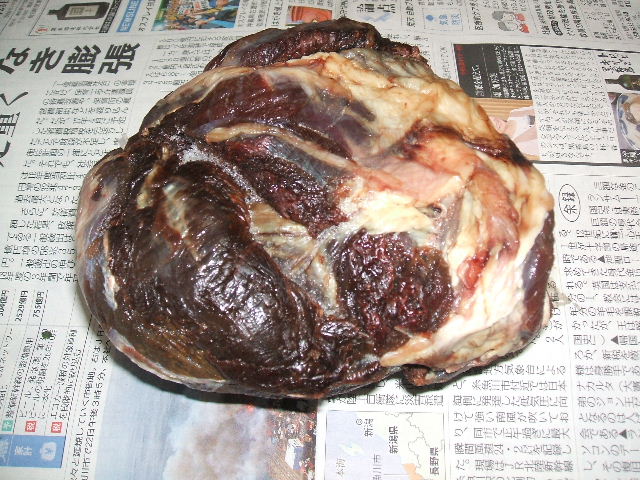イメージ 1