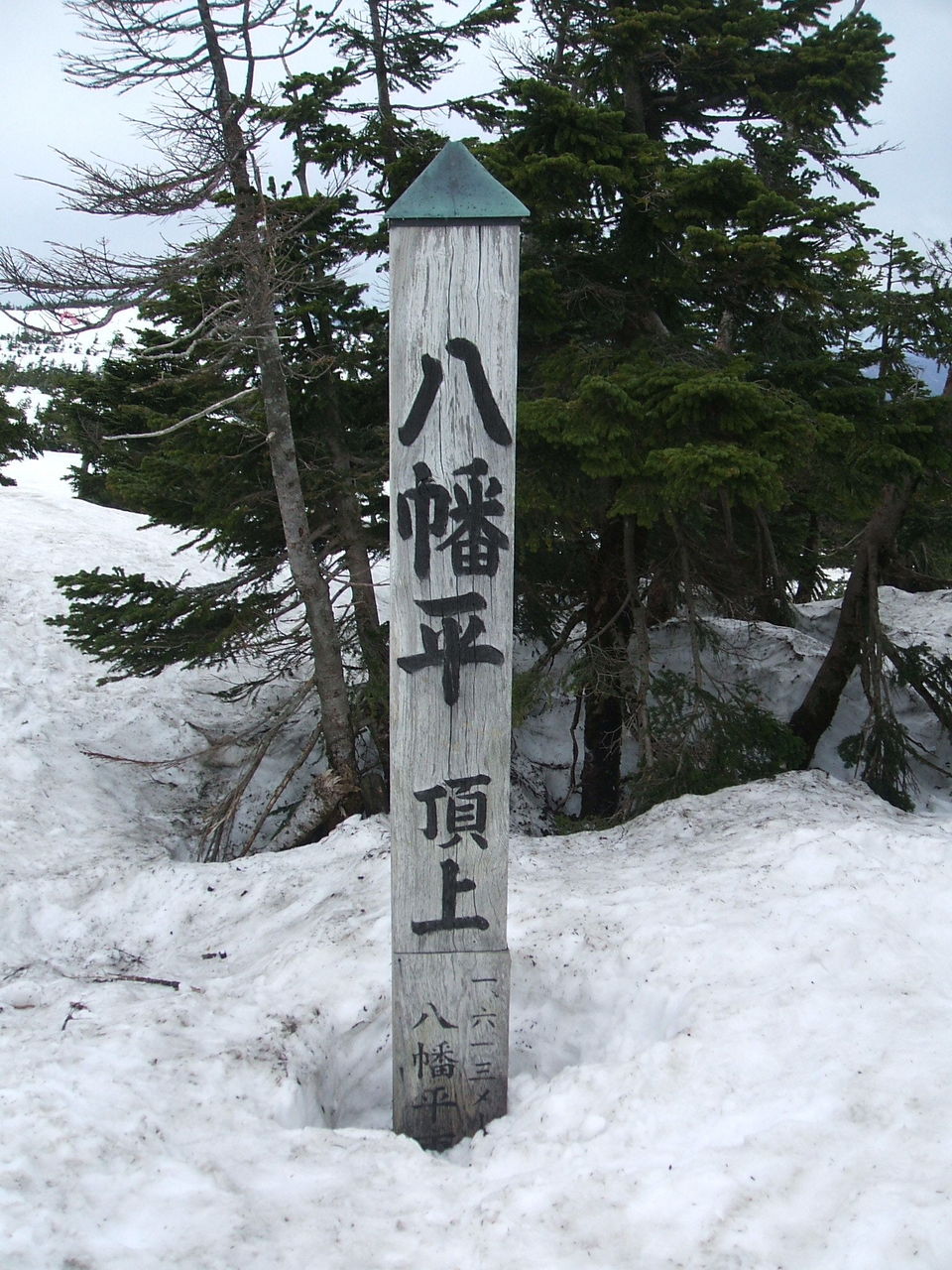 イメージ 3