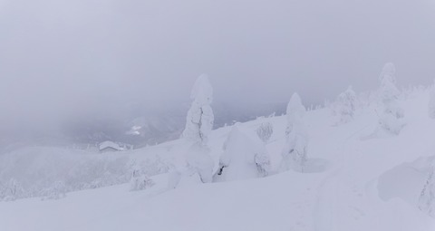 100_0590 パノラマ写真