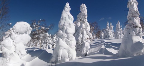 100_0762 パノラマ写真