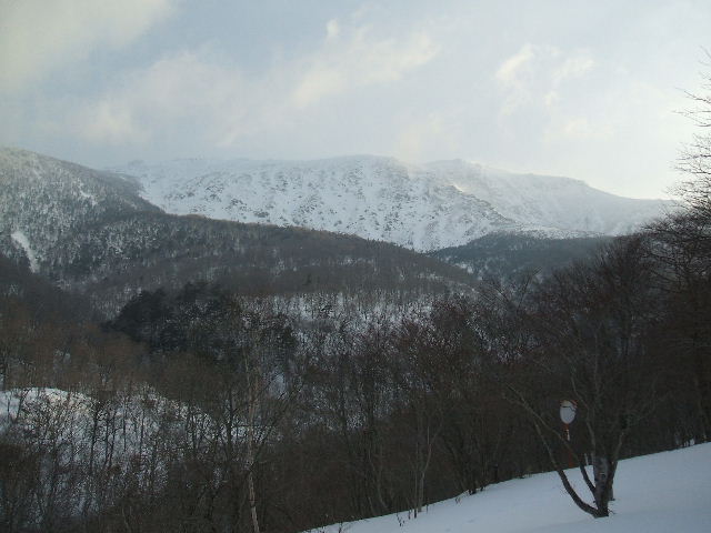 イメージ 8