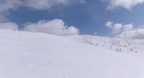 2024_03190020 パノラマ写真