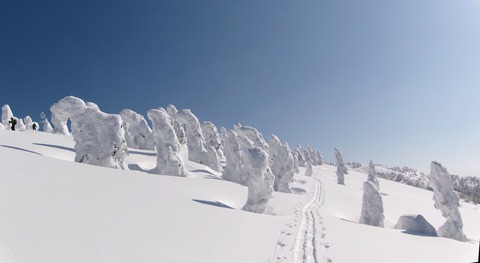 100_0842 パノラマ写真