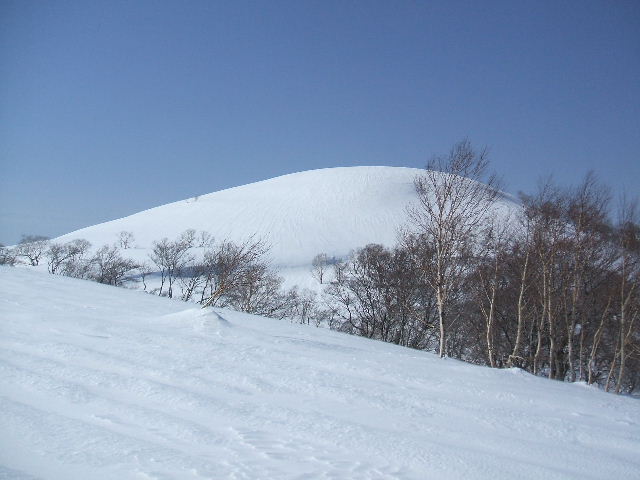 イメージ 7