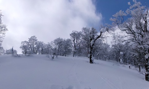 100_0683 パノラマ写真