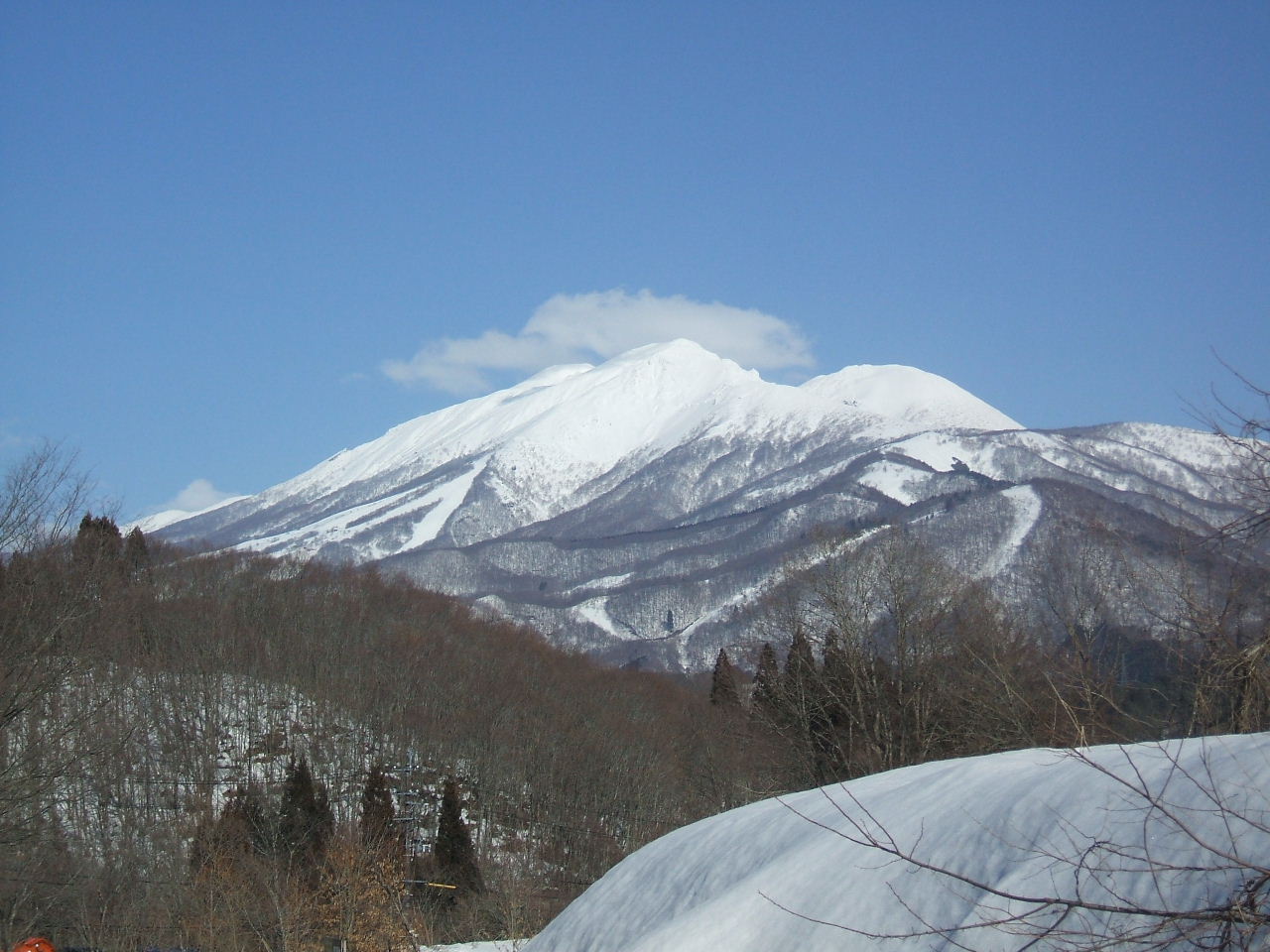 イメージ 1
