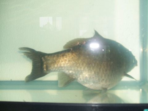 2020_05090001