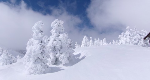 100_0976 パノラマ写真