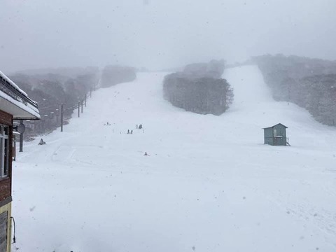 130957958_1506658586190589_6228609631902682405_n