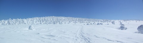 2022_03100023 パノラマ写真