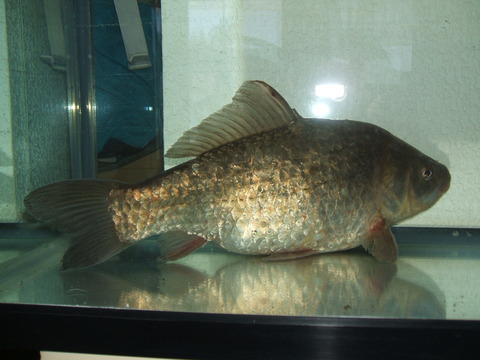 2020_05070002