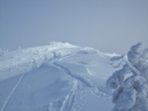 2019_12290002