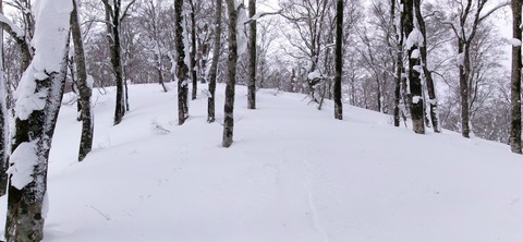 100_0681 パノラマ写真