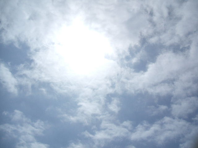 イメージ 10