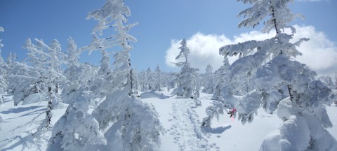 2020_03070010 パノラマ写真