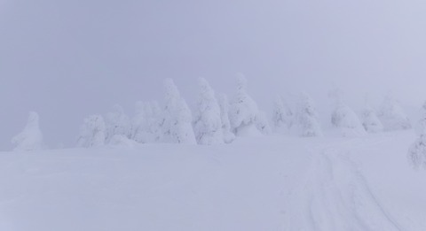 2024_12210014 パノラマ写真