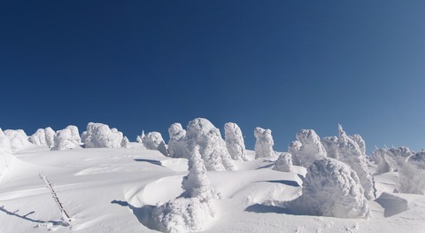 100_0880 パノラマ写真