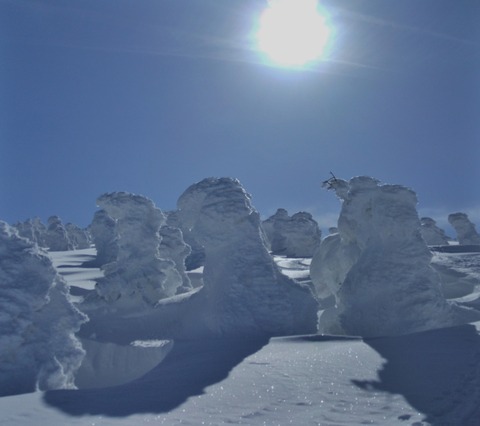 2020_03090008 パノラマ写真