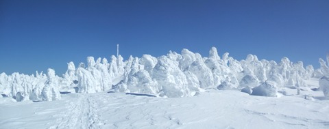 2022_03100041 パノラマ写真