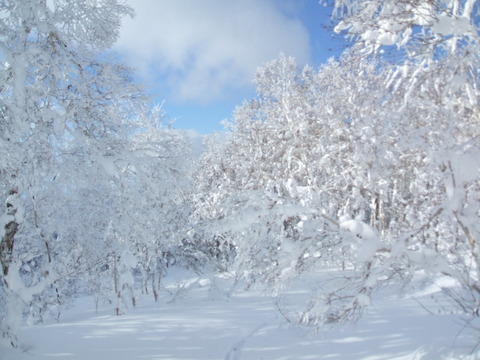 2020_12220023
