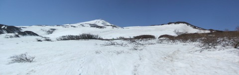 2023_05010006 パノラマ写真