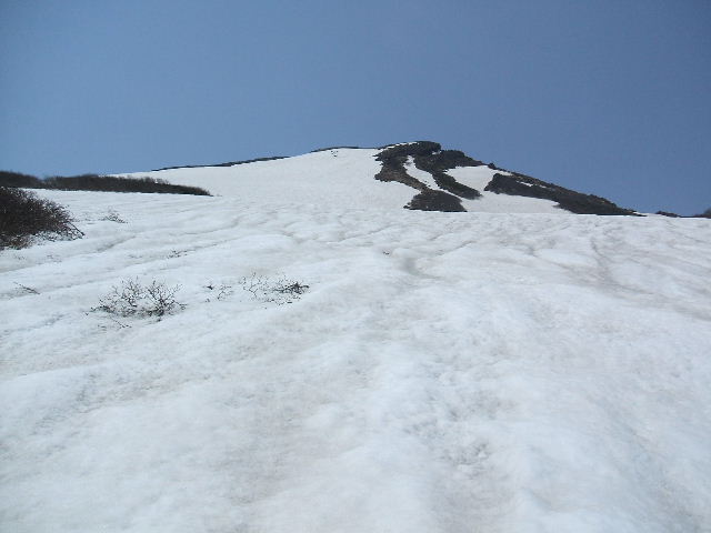 イメージ 9