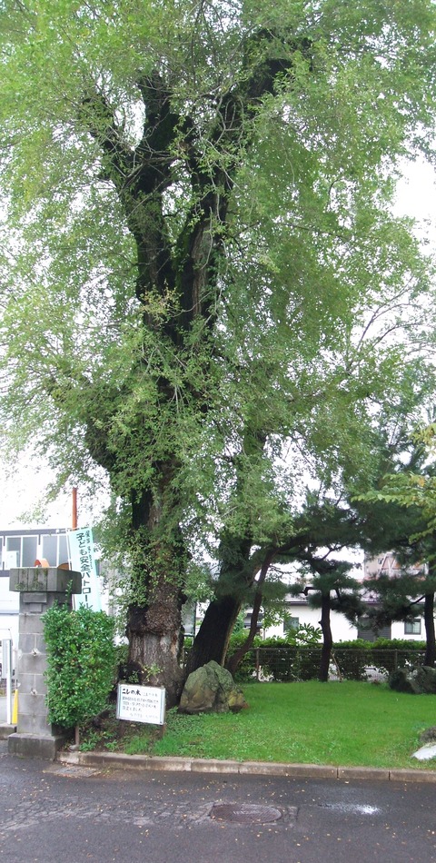 2023_10010007 パノラマ写真